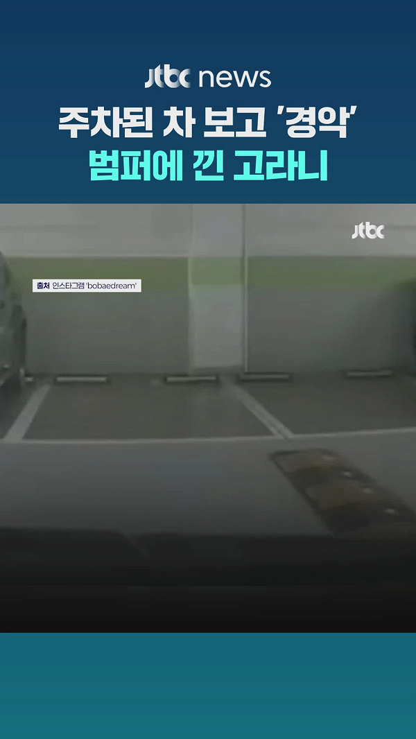 [영상] 주차된 차 보고 '경악'...범퍼에 낀 고라니 - 뉴스 썸네일 이미지