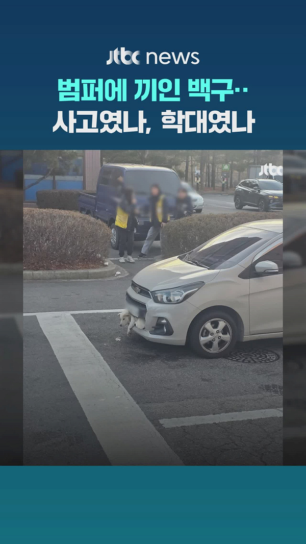 "목격자를 찾습니다"...범퍼에 끼인 백구 - 뉴스 썸네일 이미지