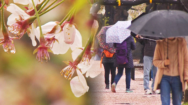 봄비 뒤 반짝 추위 관련 방송 이미지