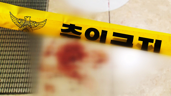 20대 여성 이틀째 의식불명… 음주 뺑소니 참변에 무너진 평범한 일상